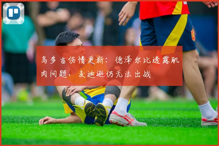 乌多吉伤情更新:德泽尔比透露肌肉问题,麦迪逊仍无法出战